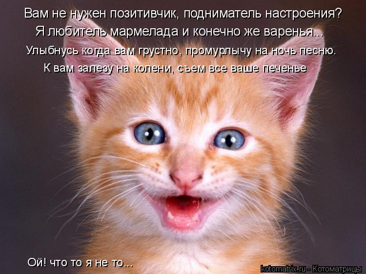 Котоматрица: Вам не нужен позитивчик, подниматель настроения? Я любитель мармелада и конечно же варенья... Улыбнусь когда вам грустно, промурлычу на ночь
