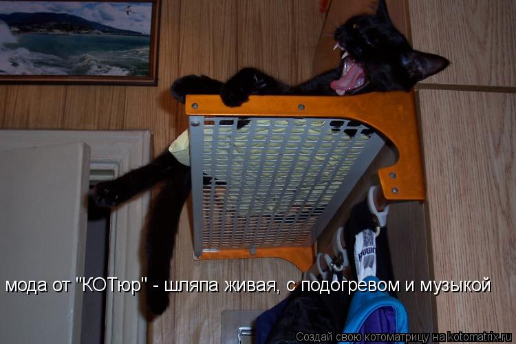 Котоматрица: мода от "КОТюр" - шляпа живая, с подогревом и музыкой