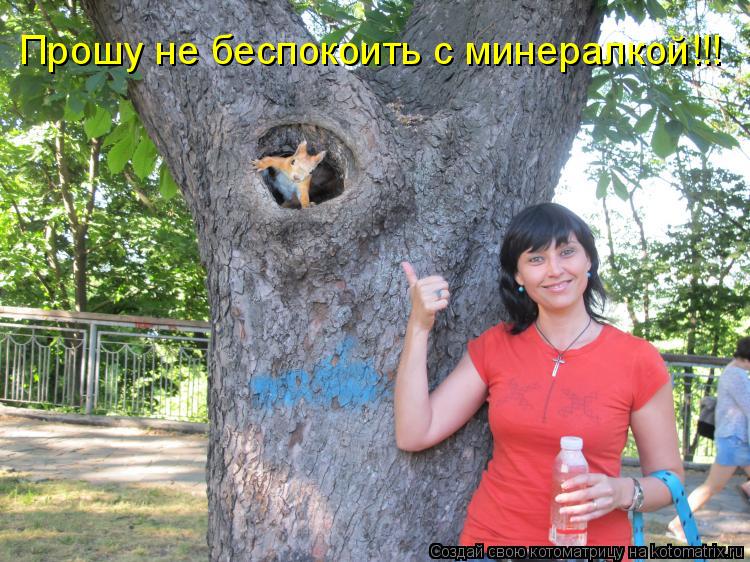 Котоматрица: Прошу не беспокоить с минералкой!!!