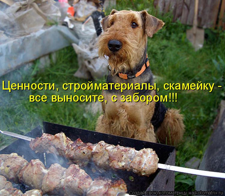 Котоматрица: Ценности, стройматериалы, скамейку - все выносите, с забором!!!