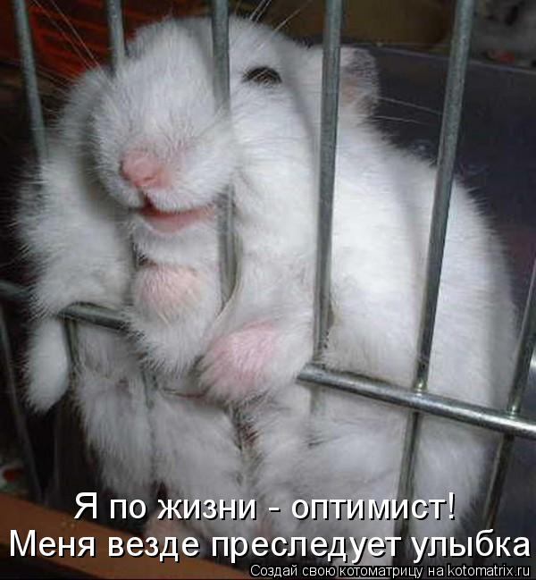 Котоматрица: Я по жизни - оптимист! Меня везде преследует улыбка!!!