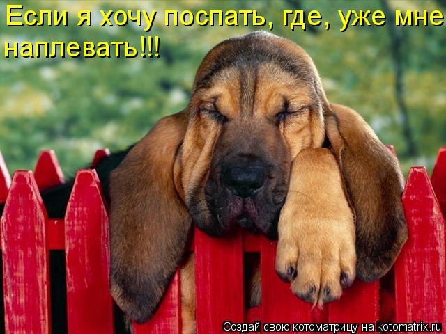 Котоматрица: Если я хочу поспать, где, уже мне наплевать!!!