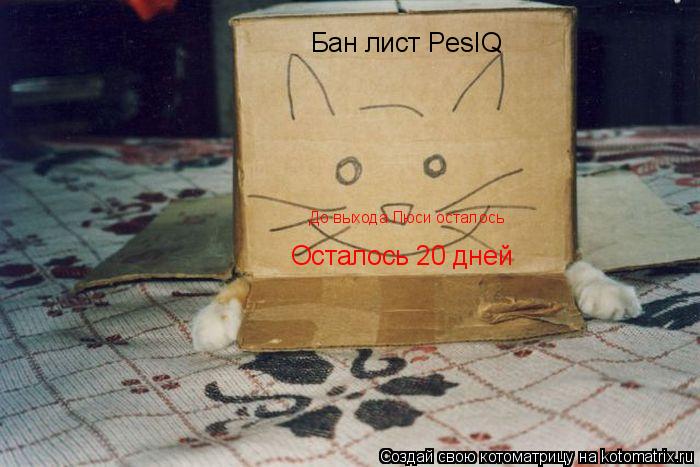 Котоматрица: Бан лист PesIQ Осталось 20 дней До выхода Люси осталось