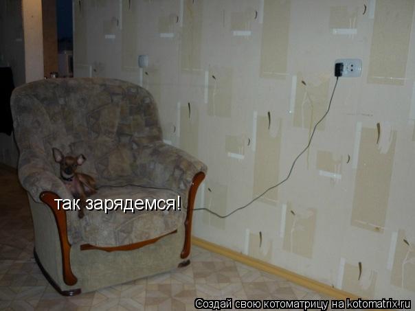 Котоматрица: так зарядемся!