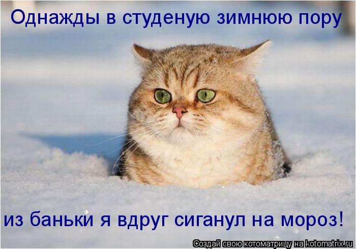 Котоматрица: Однажды в студеную зимнюю пору из баньки я вдруг сиганул на мороз!