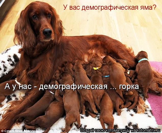 Котоматрица: У вас демографическая яма? А у нас - демографическая ... горка