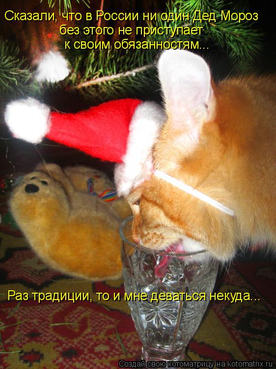 Котоматрица: Сказали, что в России ни один Дед Мороз без этого не приступает  к своим обязанностям... Раз традиции, то и мне деваться некуда...