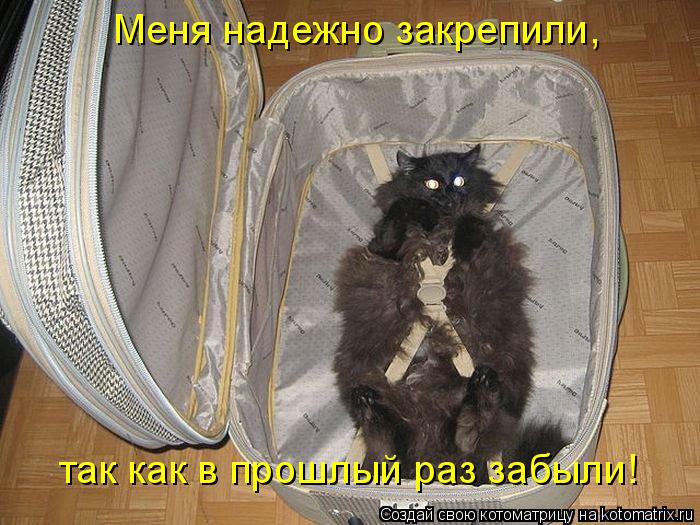 Котоматрица: Меня надежно закрепили,  так как в прошлый раз забыли!