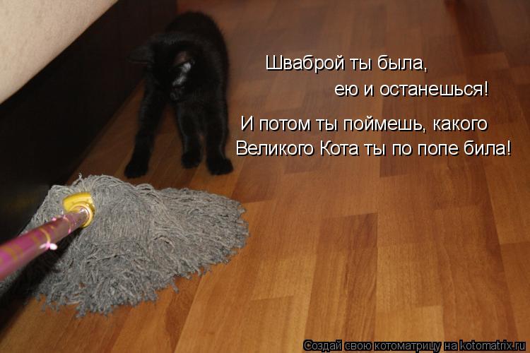 Котоматрица: Шваброй ты была, ею и останешься! И потом ты поймешь, какого Великого Кота ты по попе била!