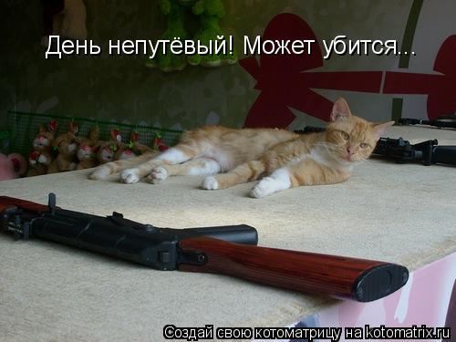 Котоматрица: День непутёвый! Может убится...