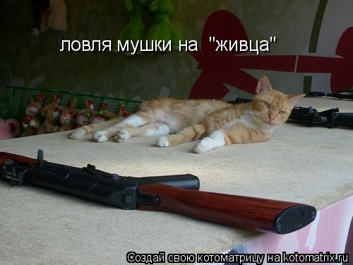 Котоматрица: ловля мушки на  "живца"