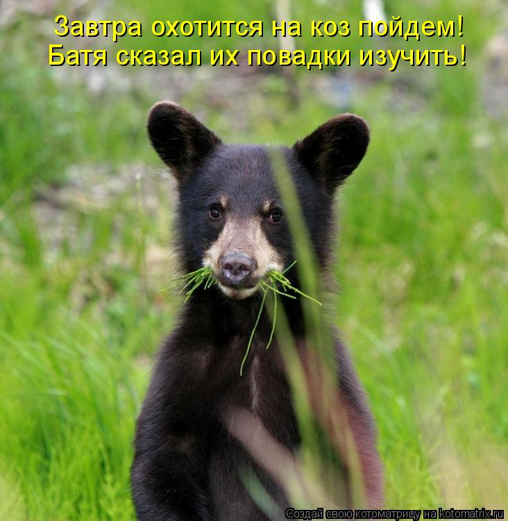 Котоматрица: Завтра охотится на коз пойдем! Батя сказал их повадки изучить!