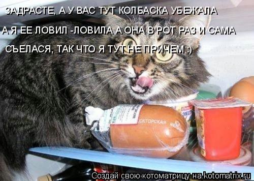 Котоматрица: ЗАДРАСТЕ, А У ВАС ТУТ КОЛБАСКА УБЕГАЛА ЗАДРАСТЕ, А У ВАС ТУТ КОЛБАСКА УБЕЖАЛА  А Я ЕЕ ЛОВИЛ -ЛОВИЛА А ОНА В РОТ РАЗ И САМА СЪЕЛАСЯ, ТАК ЧТО Я ТУТ