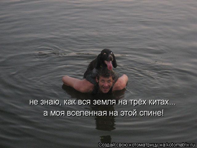 Котоматрица: не знаю, как вся земля на трёх китах... а моя вселенная на этой спине!