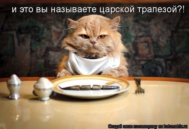Котоматрица: и это вы называете царской трапезой?!