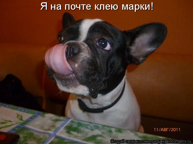 Котоматрица: Я на почте клею марки!