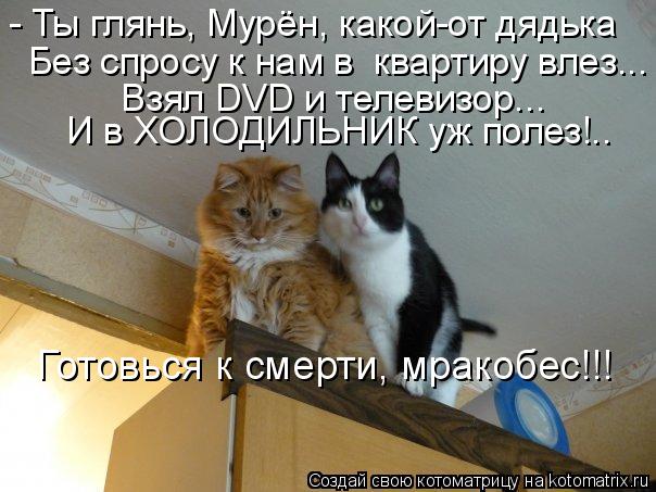 Котоматрица: - Ты глянь, Мурён, какой-от дядька Без спросу к нам в  квартиру влез... Взял DVD и телевизор... И в ХОЛОДИЛЬНИК уж полез!.. Готовься к смерти, мракоб