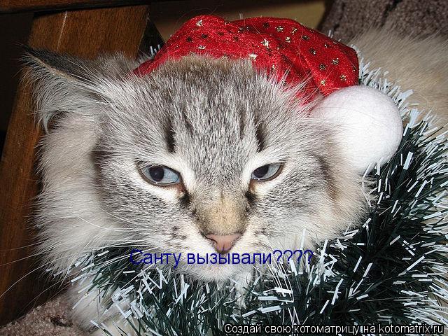 Котоматрица: Санту вызывали????
