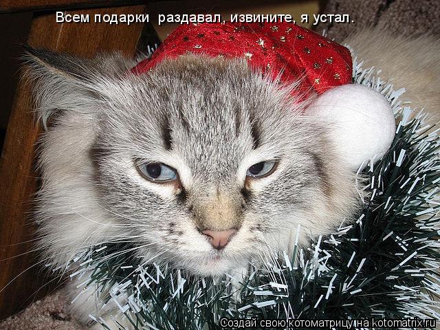 Котоматрица: Всем подарки  раздавал, извините, я устал.