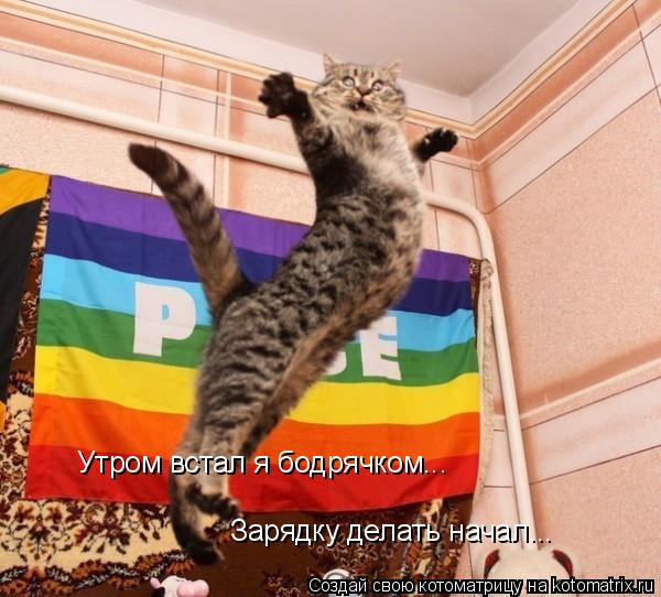 Котоматрица: Утром встал я бодрячком... Утром встал я бодрячком... Зарядку делать начал...