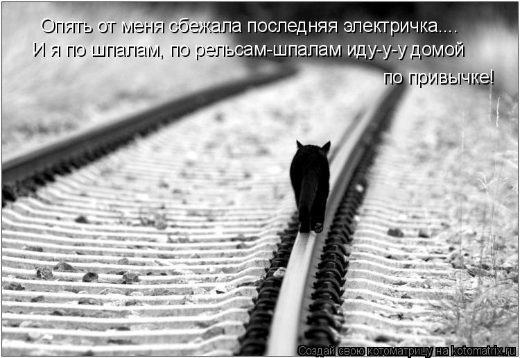 Котоматрица: Опять от меня сбежала последняя электричка.... И я по шпалам, по рельсам-шпалам иду-у-у домой  по привычке!