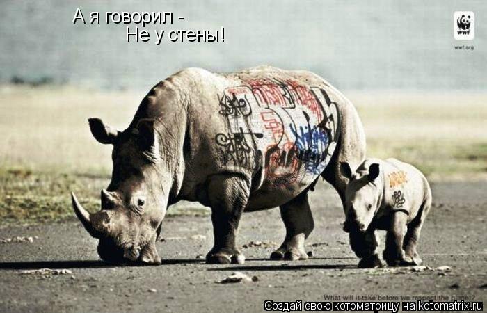 Котоматрица: А я говорил - Не у стены!