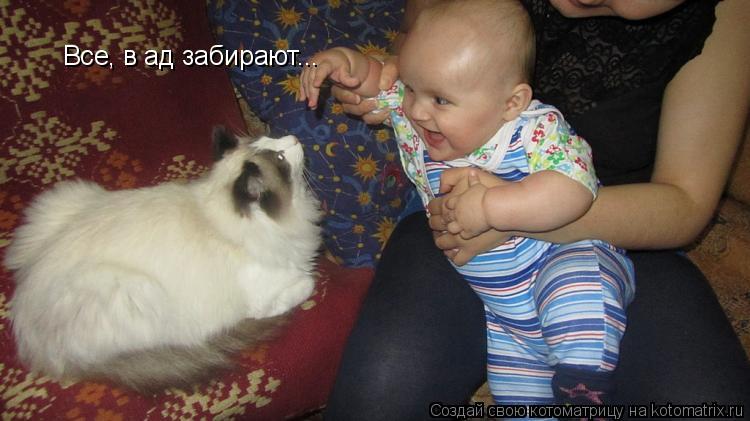 Котоматрица: Все, в ад забирают...