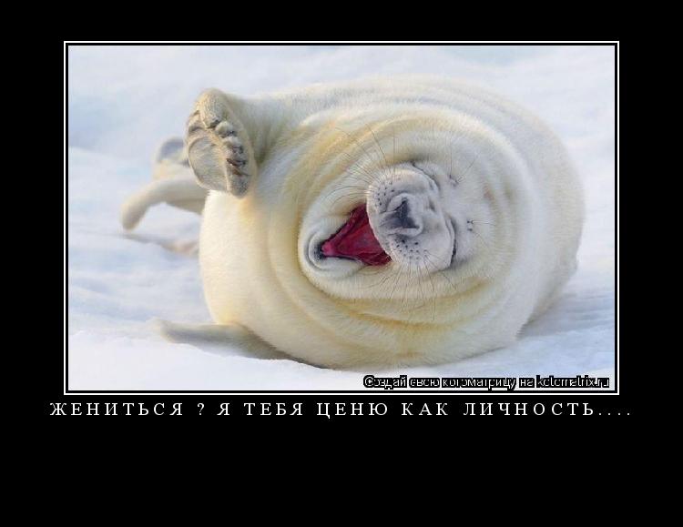 Жениться ? я тебя ценю как личность.... ... Котоматрица: Жениться ? я тебя ценю как личность....
