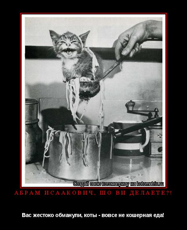 Абрам Исаакович, шо ви делаете?! Вас жестоко обманули, коты - вовсе не кошерная еда!... Котоматрица: Абрам Исаакович, шо ви делаете?! Вас жестоко обманули, коты - вовсе не кошерная еда!