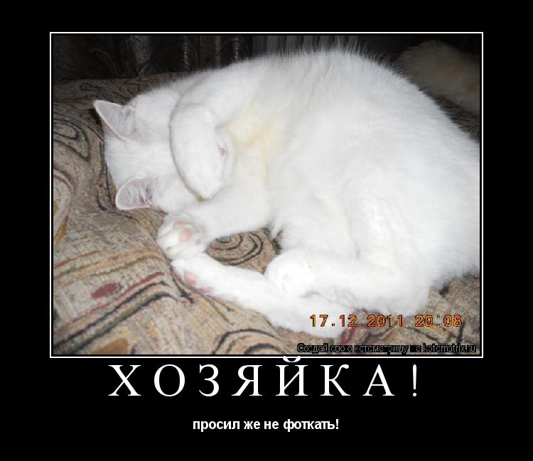 Котоматрица: ХОЗЯЙКА! просил же не фоткать!