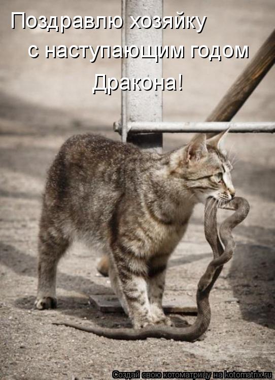 Котоматрица: Поздравлю хозяйку  с наступающим годом  Дракона!