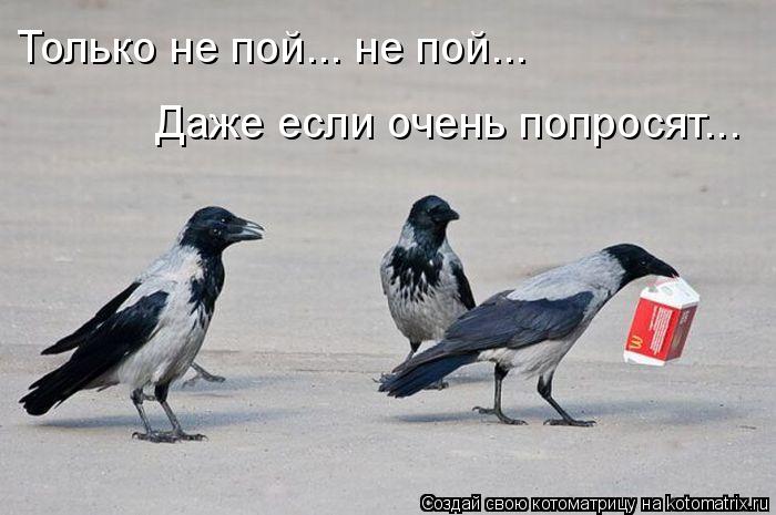 Котоматрица: Только не пой... не пой...  Даже если очень попросят...
