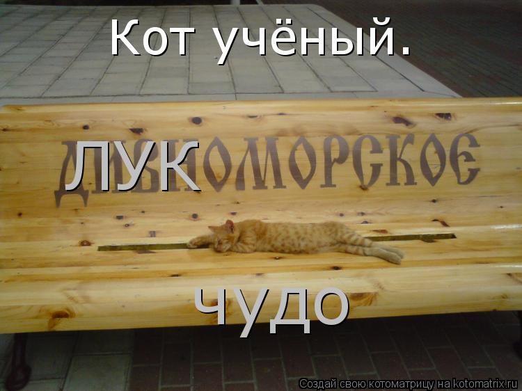 Котоматрица: ЛУК чудо Кот учёный.