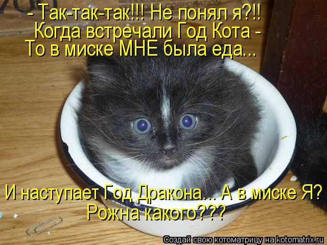 Котоматрица: - Так-так-так!!! Не понял я?!!  Когда встречали Год Кота -  То в миске МНЕ была еда... И наступает Год Дракона... А в миске Я? Рожна какого???