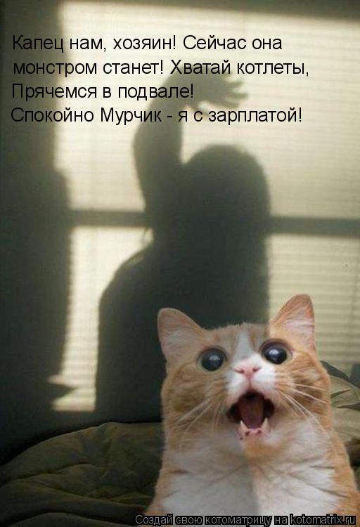 Котоматрица: монстром станет! Хватай котлеты, Прячемся в подвале! Спокойно Мурчик - я с зарплатой! Капец нам, хозяин! Сейчас она