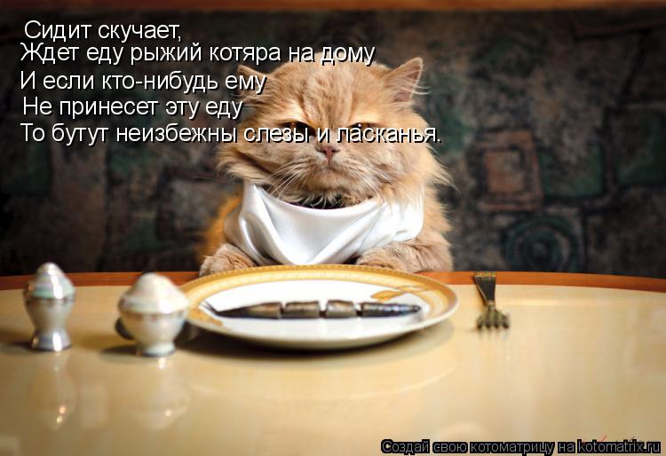Котоматрица: Сидит скучает, И если кто-нибудь ему Не принесет эту еду То бутут неизбежны слезы и ласканья. Ждет еду рыжий котяра на дому