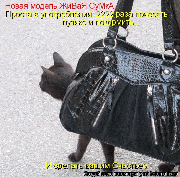 Котоматрица: Новая модель ЖиВаЯ СуМкА. Проста в употреблении: 2222 раза почесать  И сделать вашим Счастьем пузико и покормить...