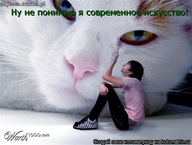 Котоматрица: Ну не понимаю я современное искусство!