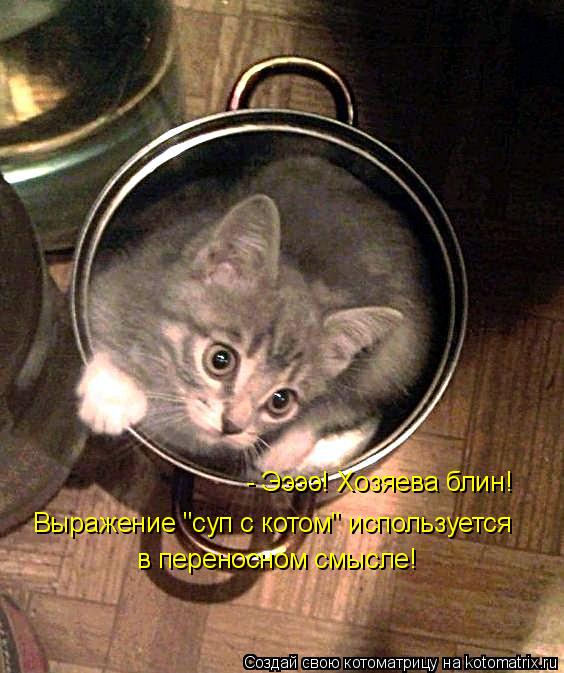 Котоматрица: - Ээээ! Хозяева блин! Выражение "суп с котом" используется в переносном смысле!