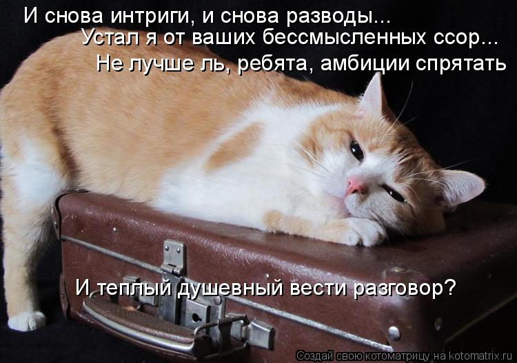 Котоматрица: И снова интриги, и снова разводы... Устал я от ваших бессмысленных ссор... Не лучше ль, ребята, амбиции спрятать  И теплый душевный вести разго