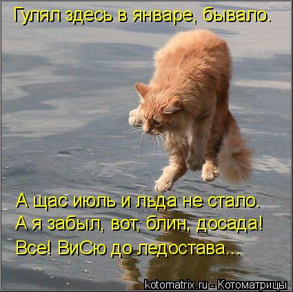 Котоматрица: А щас июль и льда не стало. А я забыл, вот, блин, досада! Все! ВиСю до ледостава... Гулял здесь в январе, бывало.