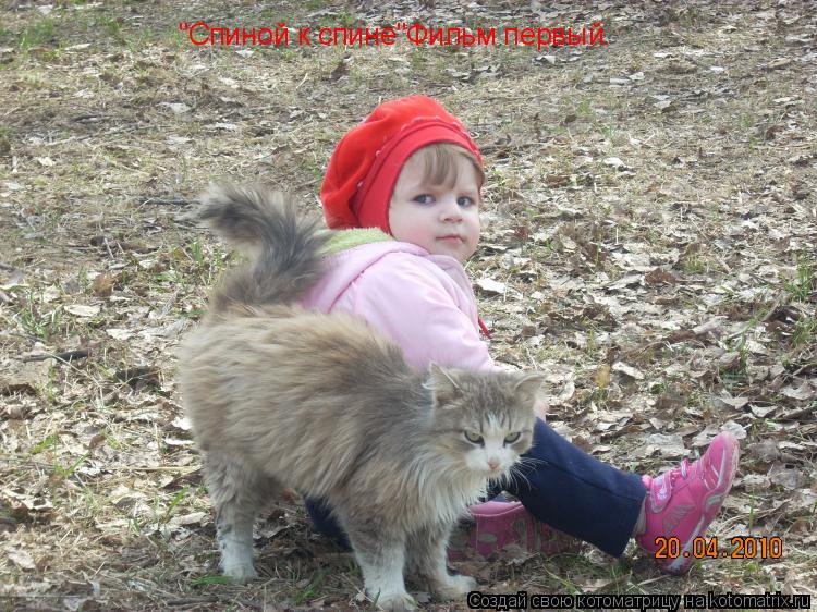 Котоматрица: "Спиной к спине"Фильм первый.