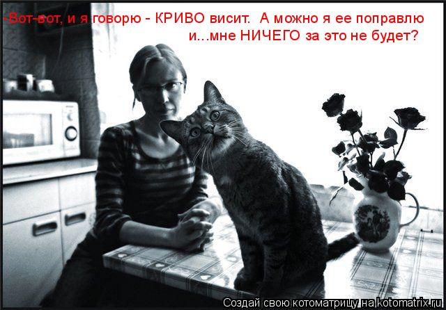 Котоматрица: -Вот-вот, и я говорю - КРИВО висит.  А можно я ее поправлю  и...мне НИЧЕГО за это не будет?