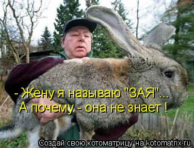 Котоматрица: - Жену я называю "ЗАЯ"... А почему - она не знает !