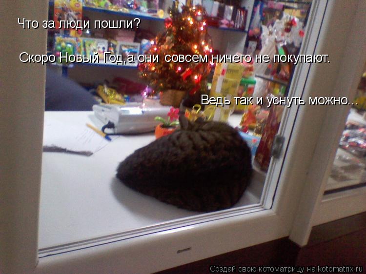 Котоматрица: Что за люди пошли? Скоро Новый Год,а они  совсем ничего не покупают. Ведь так и уснуть можно...