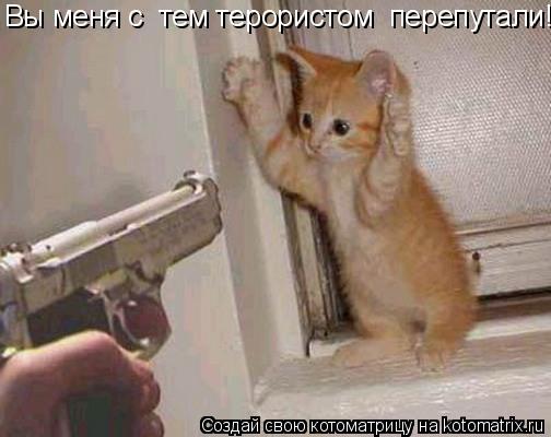 Котоматрица: Вы меня с  тем терористом  перепутали!