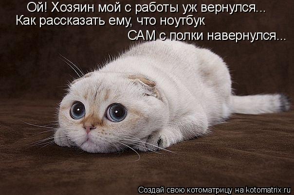 Котоматрица: Ой! Хозяин мой с работы уж вернулся... Как рассказать ему, что ноутбук  САМ с полки навернулся...