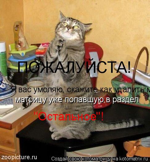Котоматрица: ПОЖАЛУЙСТА! Я вас умоляю, скажите как удалить матрицу уже попавшую в раздел "Остальное" матрицу уже попавшую в раздел "Остальное"!