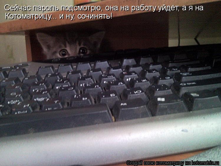 Котоматрица: Сейчас пароль подсмотрю, она на работу уйдёт, а я на Котоматрицу... и ну, сочинять!