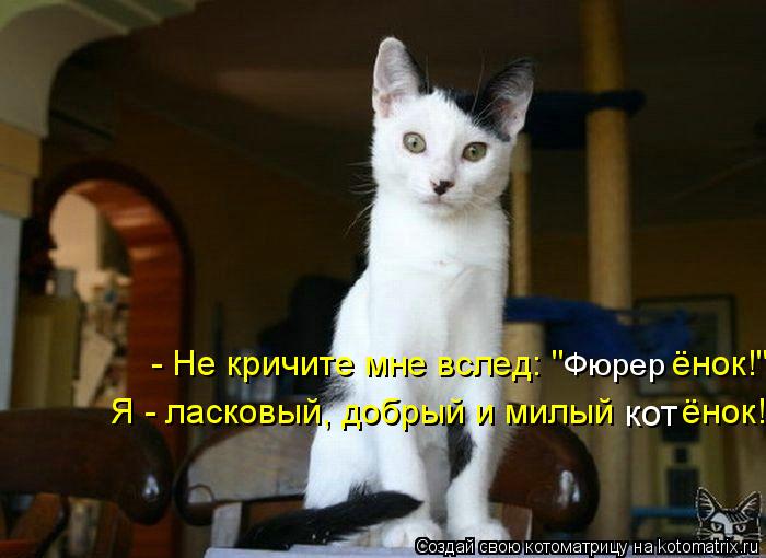 Котоматрица: Я - ласковый, добрый и милый       ёнок! кот Фюрер - Не кричите мне вслед: "           ёнок!"